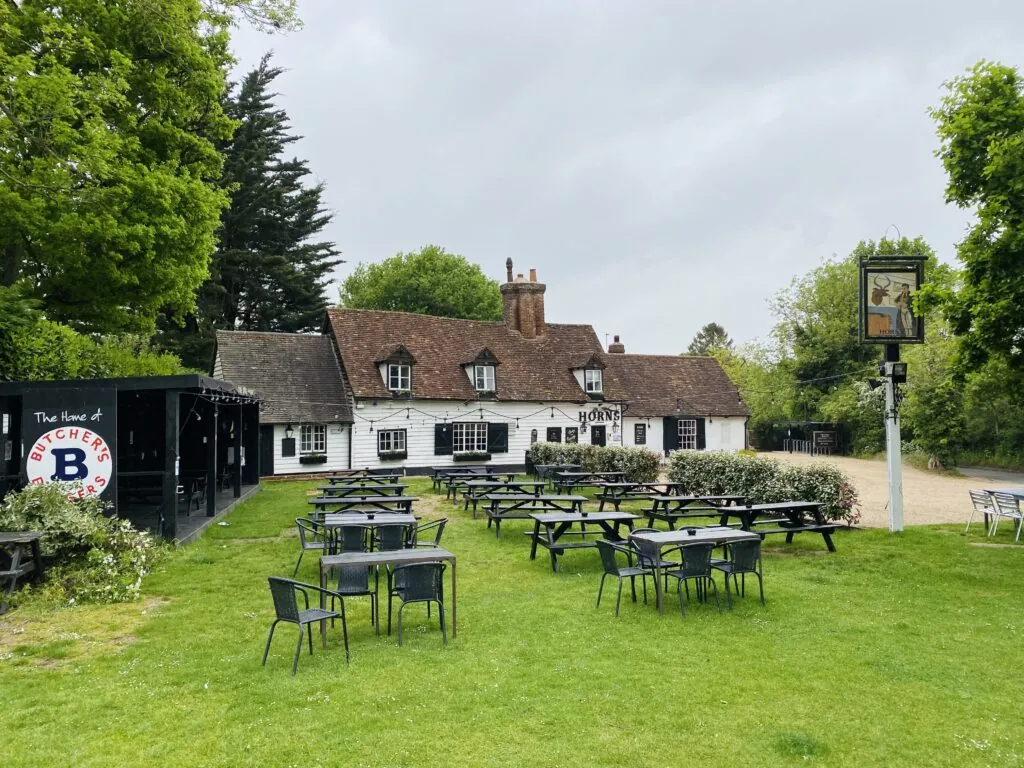 The garden at The Horns in the sunshine