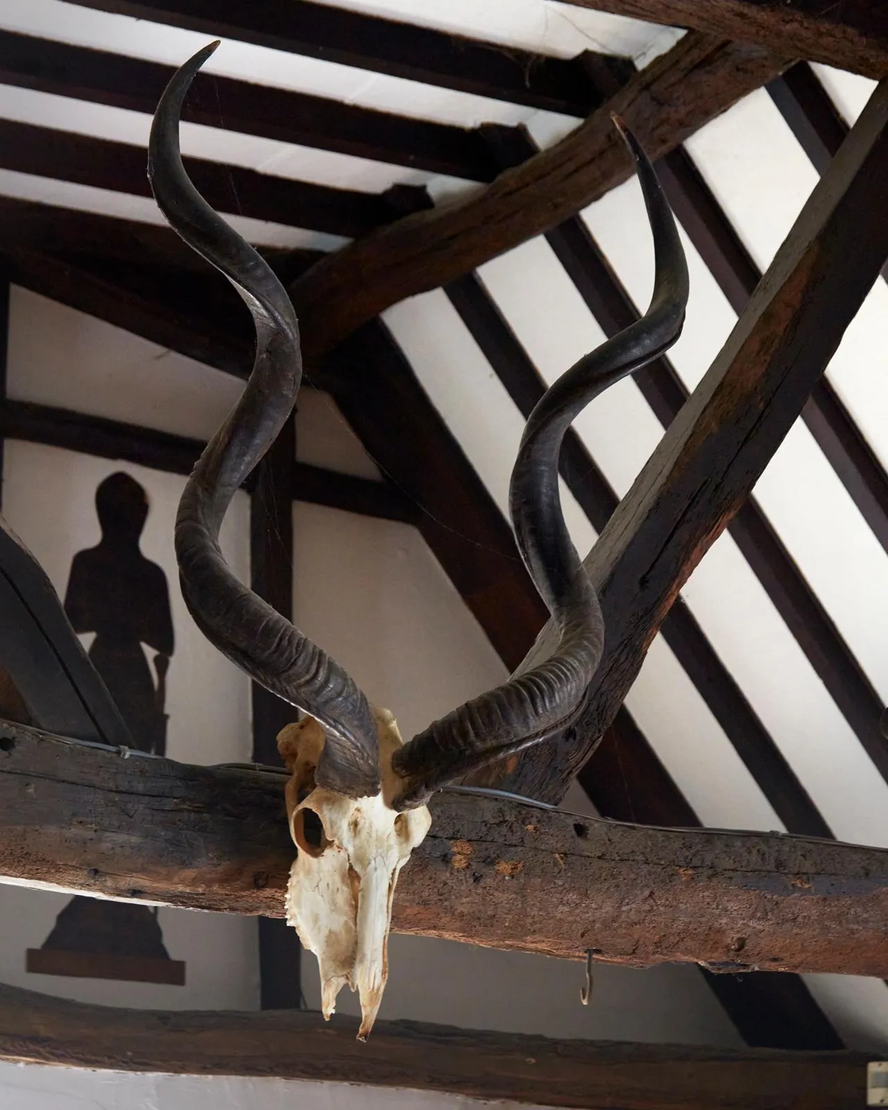 A pair of horns mounted on the wall inside the pub